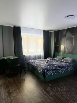 Студия Псковская область, Псков ул. Гагарина, 7 (31.0 м)