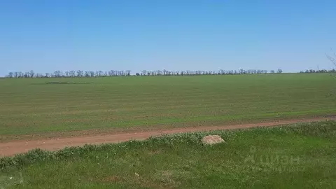 Участок в Крым, Сакский район, с. Кольцово ул. Новые Черемушки (92.69 ...