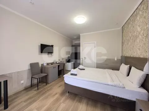 Студия Краснодарский край, Сочи Главная ул., 9/7 (19.6 м)