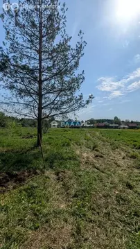 Участок в Медведевский район, Азяковское сельское поселение, деревня ...