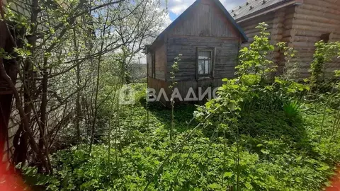 Дом в Владимирская область, Владимир сад Локомотив-1, 55 (20 м)