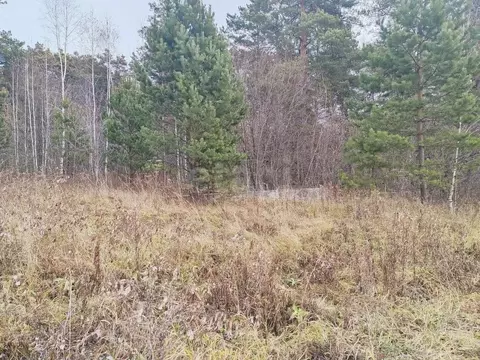 Участок в Тюменская область, Нижнетавдинский муниципальный округ, с. ...