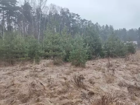 Участок в Московская область, Лотошино муниципальный округ, с. ...