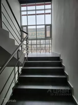 Офис в Алтайский край, Барнаул тракт Павловский, 291 (116 м)