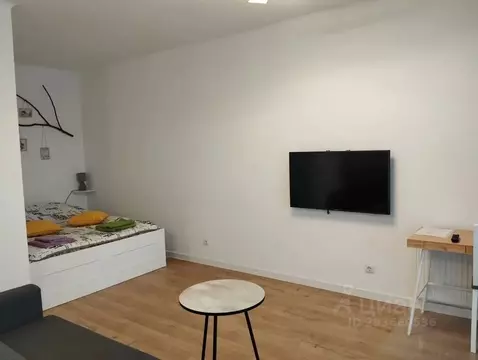 Студия Псковская область, Псков Ольгинская наб., 5А (36.0 м)