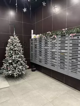 Студия Московская область, Балашиха Железнодорожный мкр, ул. ...