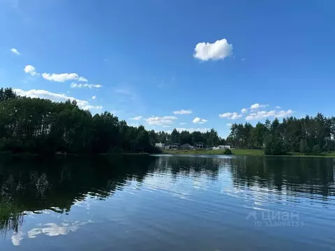 Участок в Ленинградская область, Всеволожский район, Куйвозовское ...