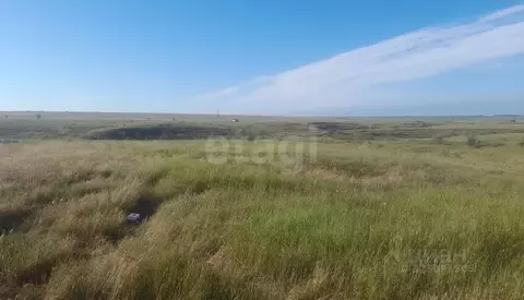 Участок в Крым, Ленинский район, Батальненское с/пос, Нептун СНТ  (8.0 ...