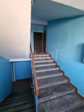 2-к кв. Иркутская область, Ангарск 6А мкр, 31 (50.2 м)