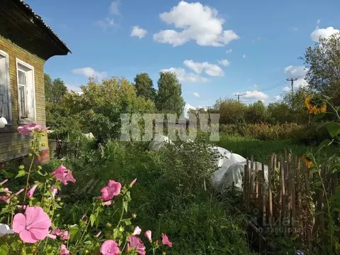 Участок в Вологодская область, Сокол Череповецкая ул. (10.0 сот.)