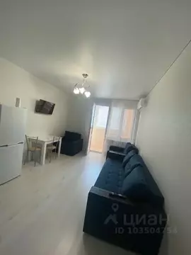 Студия Краснодарский край, Анапа Владимирская ул., 114к1 (28.0 м)