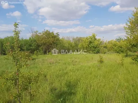 Участок в Мясниковский район, Чалтырское сельское поселение, ...