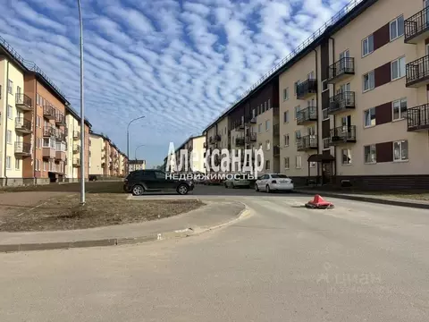 Студия Ленинградская область, Всеволожский район, пос. Щеглово 88 ...