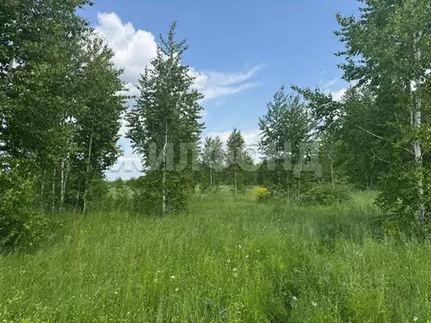 Участок в Новосибирская область, Новосибирский район, Каменский ...