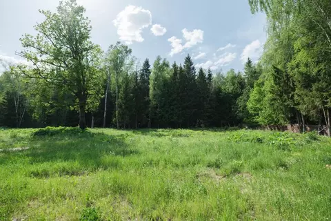 Участок в Москва Лесное озеро кп,  (51.6 сот.)