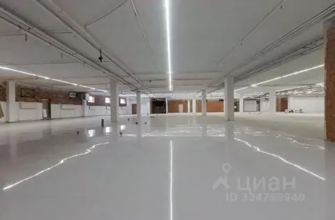 Помещение свободного назначения в Санкт-Петербург просп. Испытателей, ...