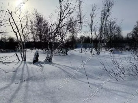 Участок в Московская область, Истра муниципальный округ, д. Котово, ...
