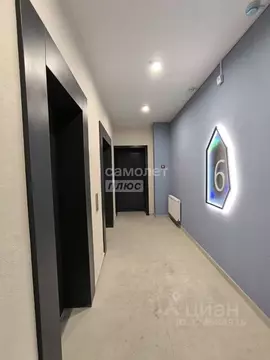 Студия Липецкая область, Липецк ул. М.И. Неделина, 4Д (29.5 м)