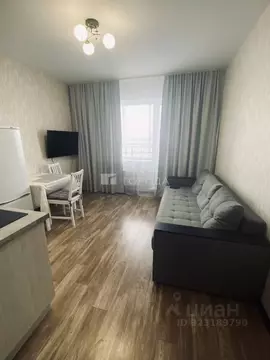 Студия Новосибирская область, Новосибирск ул. Титова, 252/2 (18.0 м)