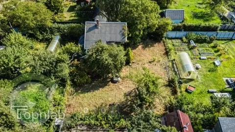 Участок в Калининградская область, Пионерский ш. Калининградское (5.0 ...