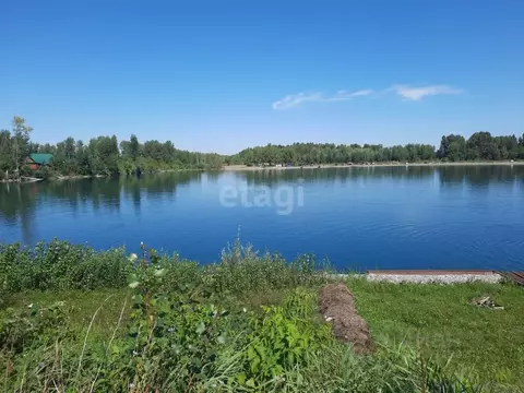 Участок в Алтайский край, Бийский район, Чуйский СНТ ул. Береговая ...