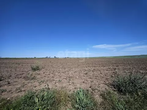 Участок в Крым, Сакский район, с. Ивановка  (40.0 сот.)