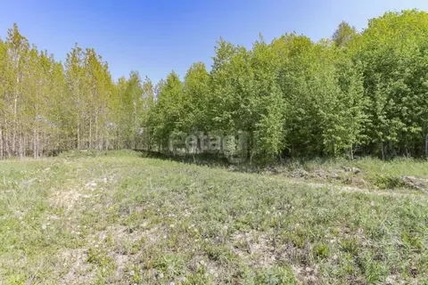 Участок в Тюменская область, Нижнетавдинский муниципальный округ, пос. ...