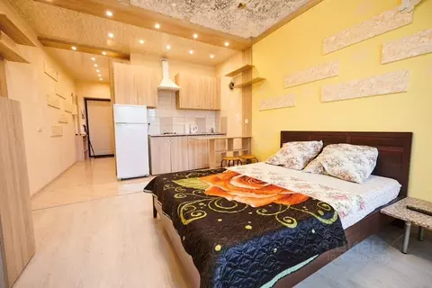 1-к кв. Московская область, Ногинск Богородский городской округ, ул. ...