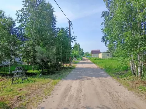 Участок в Тюменская область, Тюмень Ясень садовое товарищество, ул. ...