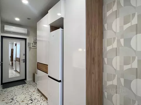 Студия Московская область, Домодедово городской округ, с. Домодедово ...