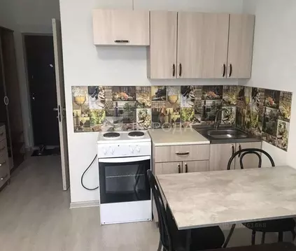 Студия Алтайский край, Барнаул Северный Власихинский проезд, 108 (17.2 ...