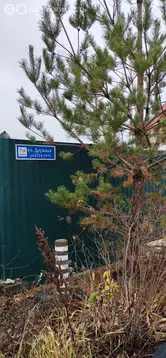 Участок в Саратовская область, Мостовой переход через Волгу у села ...