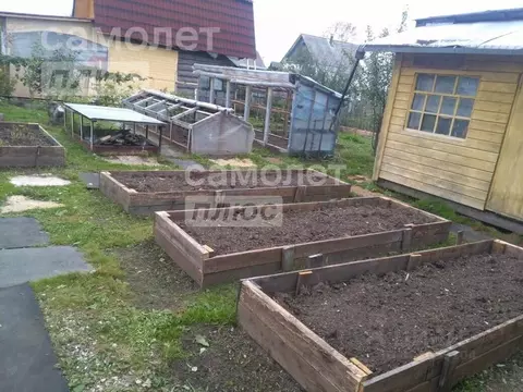 Дом в Вологодская область, Вологда Труд садоводческое товарищество, 75 ...