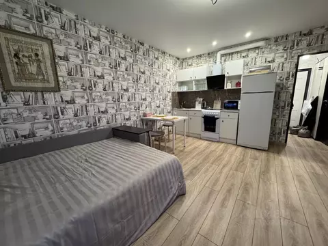 Студия Московская область, Домодедово Южный мкр, ул. Курыжова, 32 ...