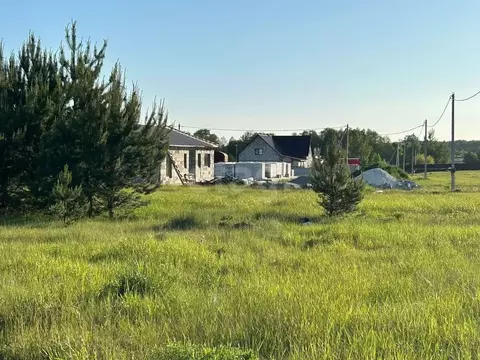 Участок в Брянская область, Брянский район, Новодарковичское с/пос, д. ...