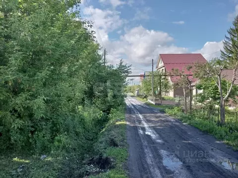 Участок в Саратовская область, Балашов ул. Тараканова, 16 (2.5 сот.)