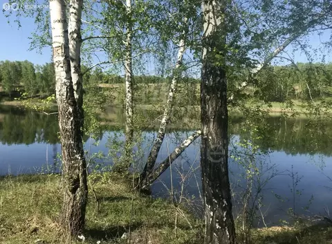 Участок в Станционный сельсовет, ДНТ Гвардия, Радужная улица, 17 (10 ...