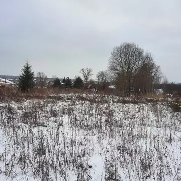 Участок в Московская область, Ступино городской округ, д. Съяново  ...