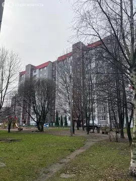 3-комнатная квартира: Всеволожск, Василеозерская улица, 1к2 (94.1 м)