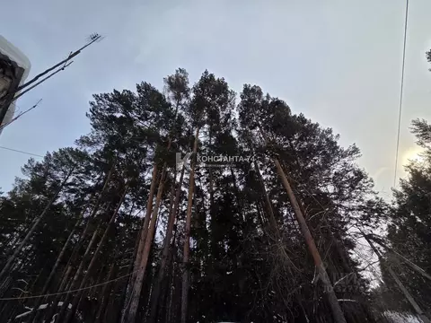 2-к кв. Челябинская область, Чебаркуль Санаторий Еловое тер., 1 (44.4 ...