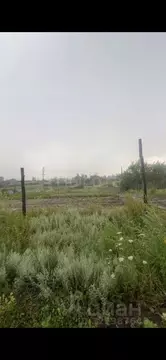 Участок в Воронежская область, Рамонский район, с. Новоживотинное ...