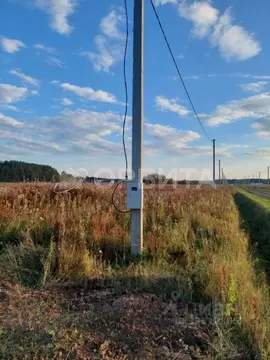 Участок в Тюменская область, Тюменский муниципальный округ, с. Кулига ...