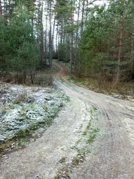Участок в Новгородская область, Маловишерский район, Бургинское с/пос, ...