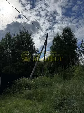 Участок в Свердловская область, Ревда муниципальный округ, с. Мариинск ...