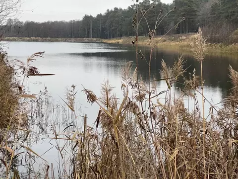 Дом в Брянская область, Брянский район, Новодарковичское с/пос, д. ...