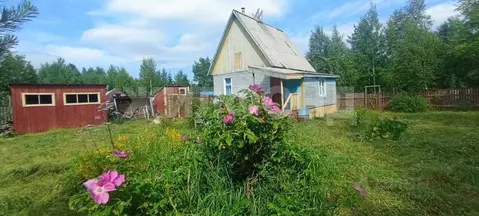 Дом в Архангельская область, Архангельск  (49 м)