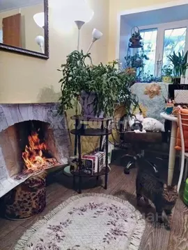 Студия Томская область, Томск Источная ул., 25 (15.8 м)