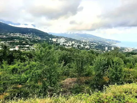Участок в Крым, Ялта городской округ, Виноградное пгт ш. ...