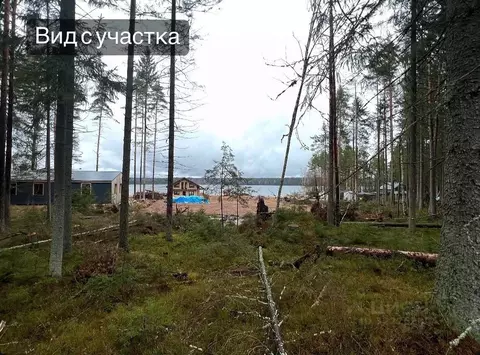 Участок в Ленинградская область, Выборгский район, Приморское ...