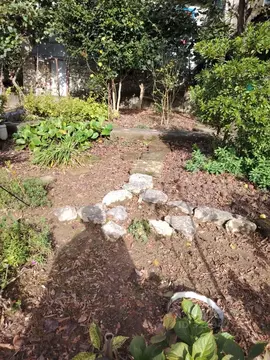 Участок в Краснодарский край, Сочи городской округ, с. Липники, ...